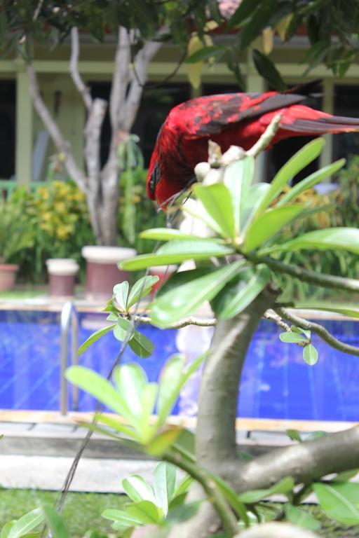 Hotel Puri Nusantara Kuta Lombok Eksteriør billede